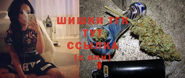 индика Майский