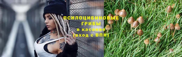 jwh Алзамай