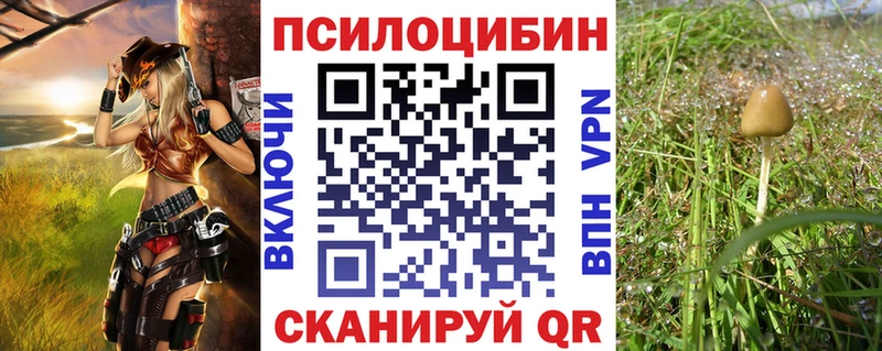 Галлюциногенные грибы мухоморы  Туймазы 